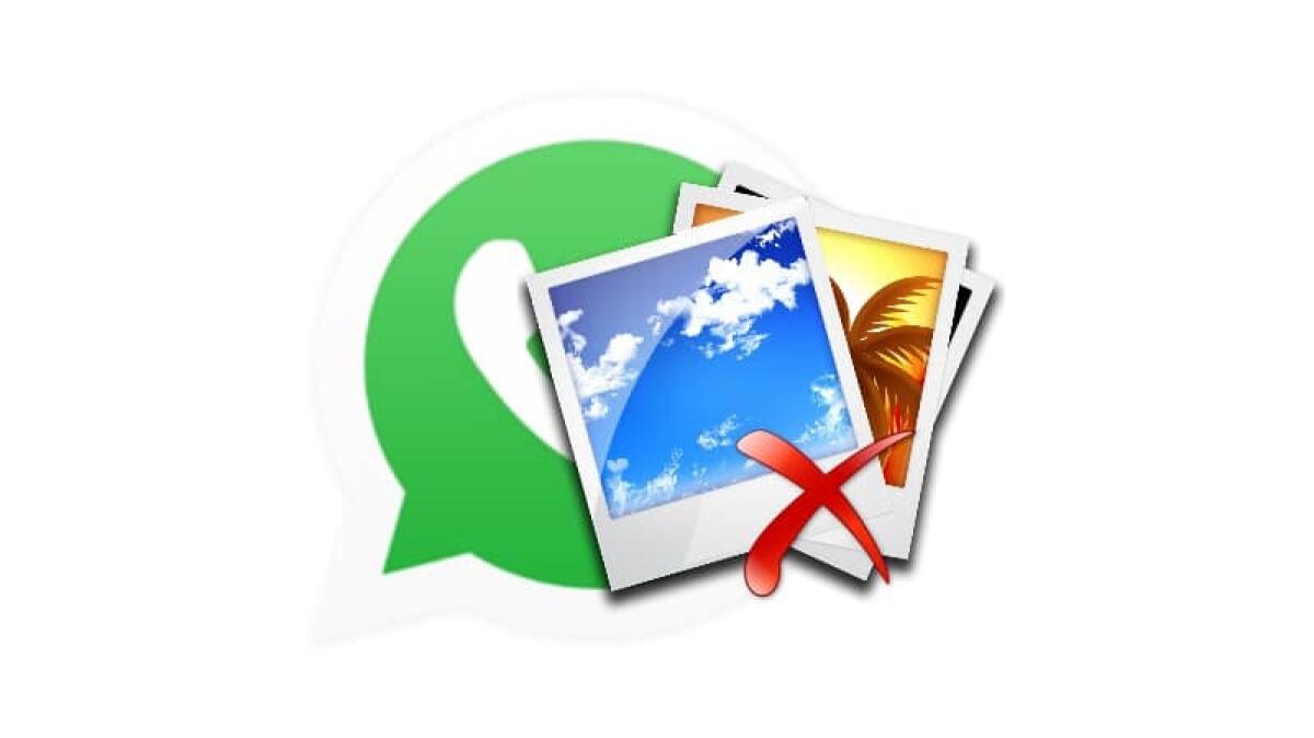 Recuperare foto da iPhone su Windows e MAC - 