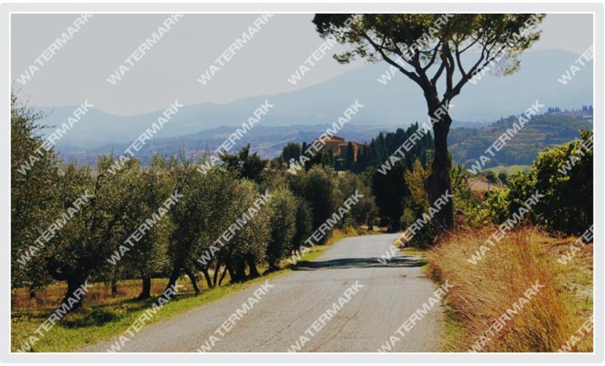 Aggiungere watermark a foto e immagini WordPress - 