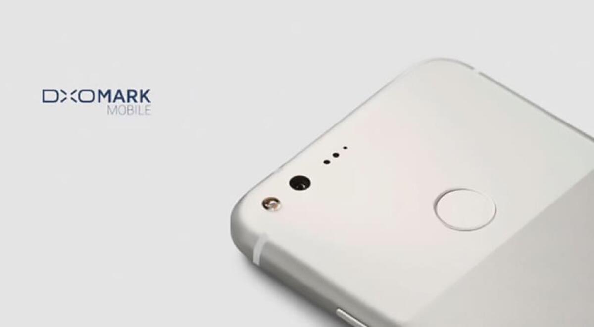 Come scatta le foto il Google Pixel: Ecco tantissimi scatti - 