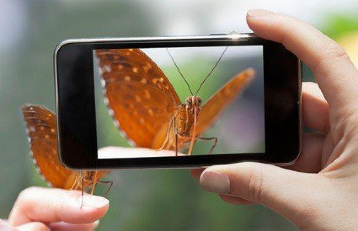 15 consigli per fotografi principianti - 