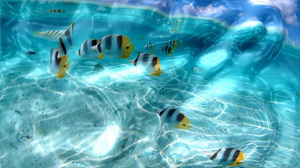 Watery Desktop 3D animerà il tuo desktop con effetti d'acqua - 