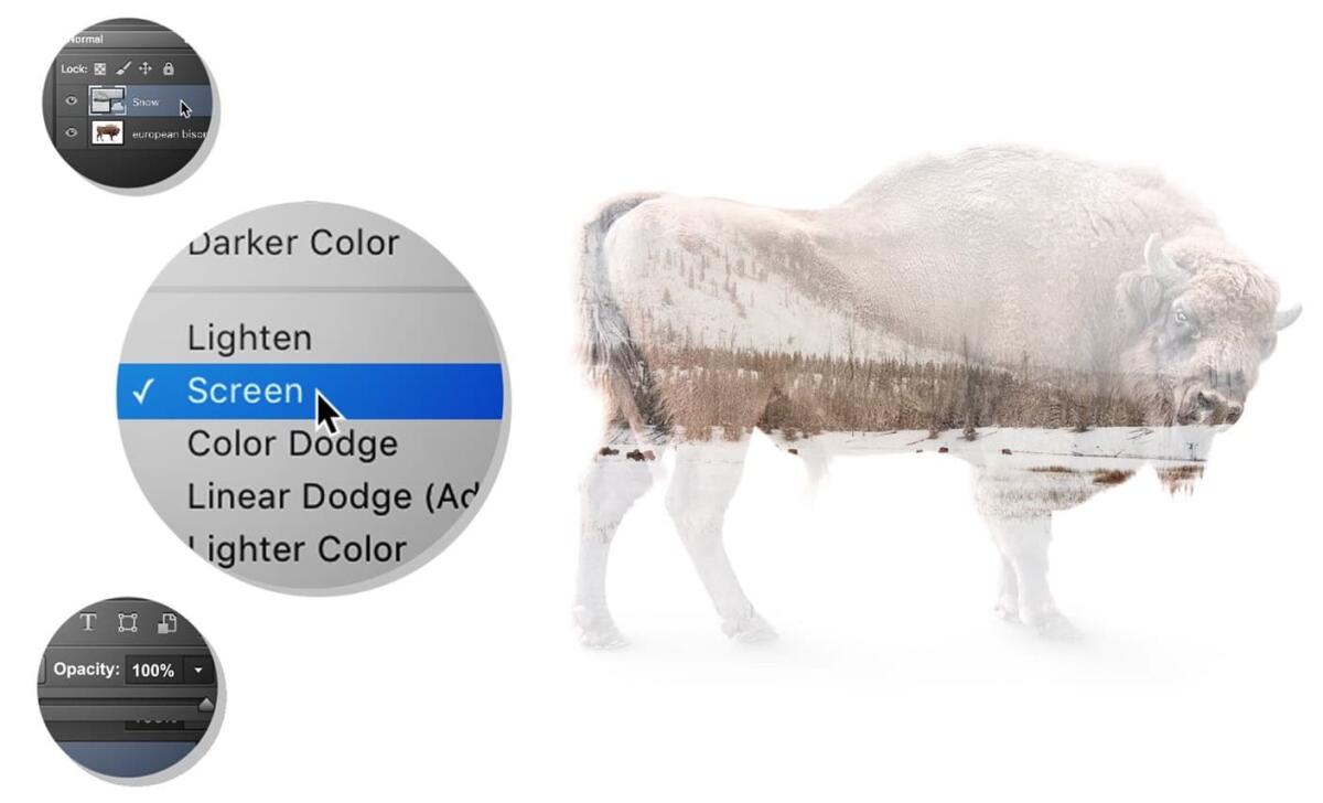 Impara come usare Photoshop con questi trucchi semplici - 