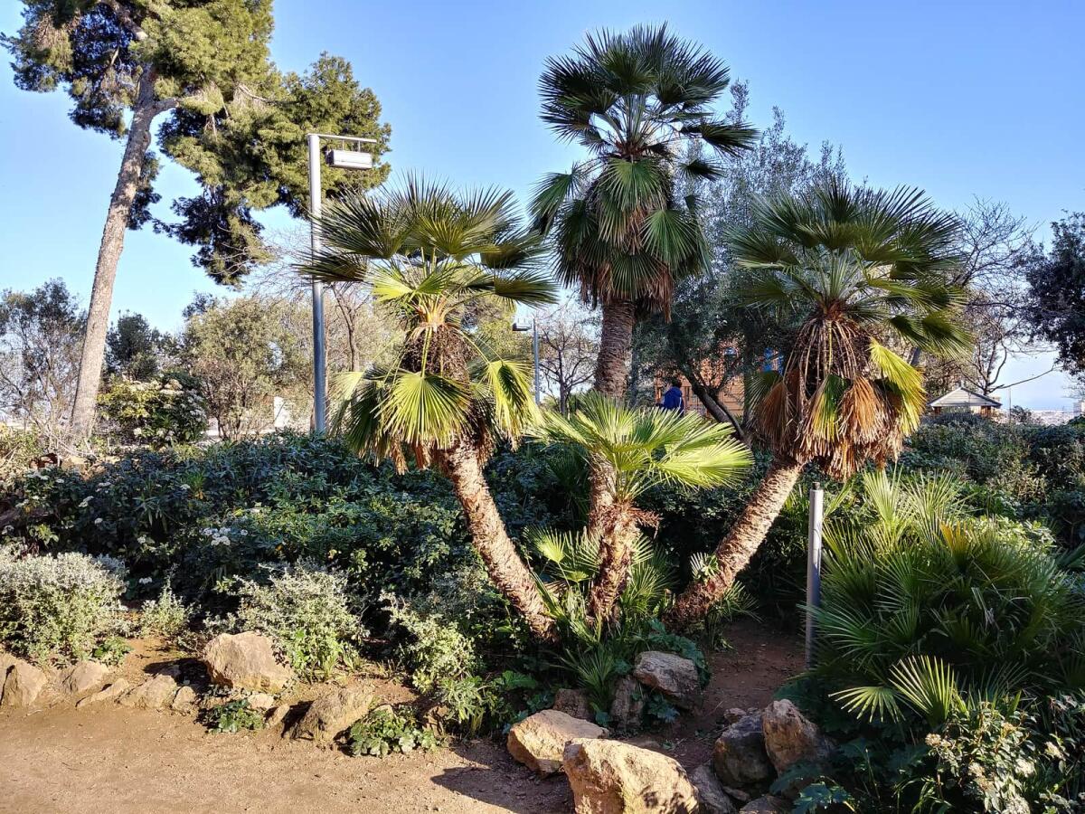 Come scatta le foto LG G6? - 