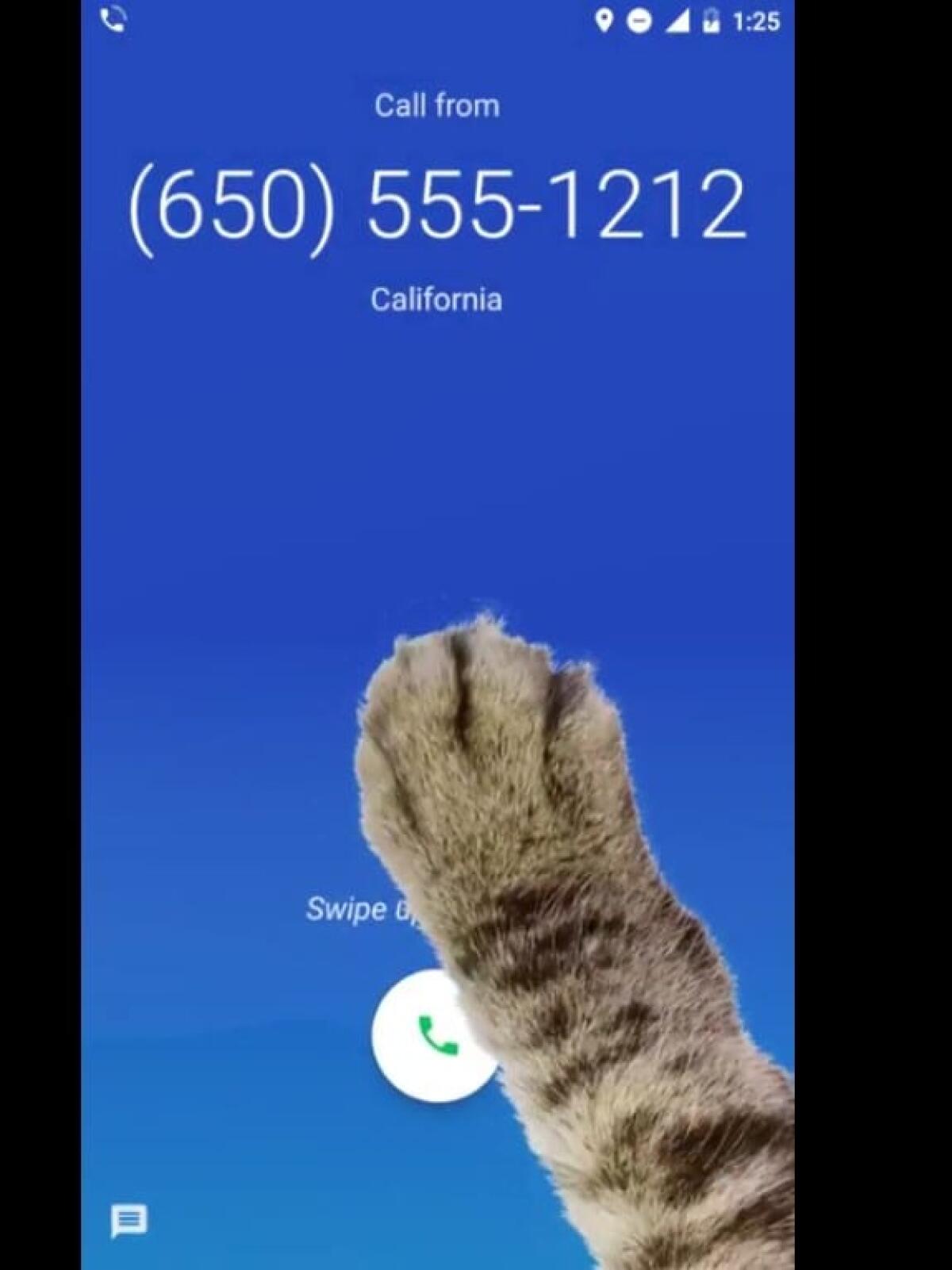 Come attivare la modalità "ZAMPA" su Google Telefono - 