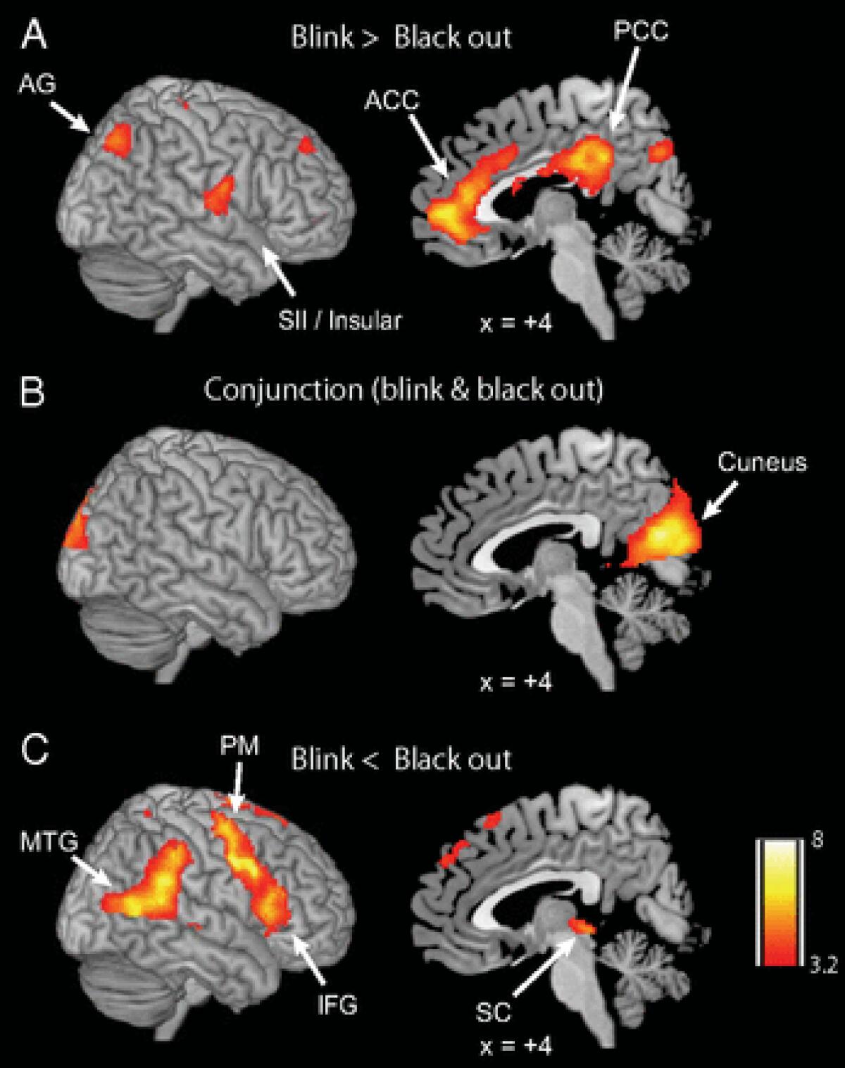 Programma Windows per la salute e la produttività - 