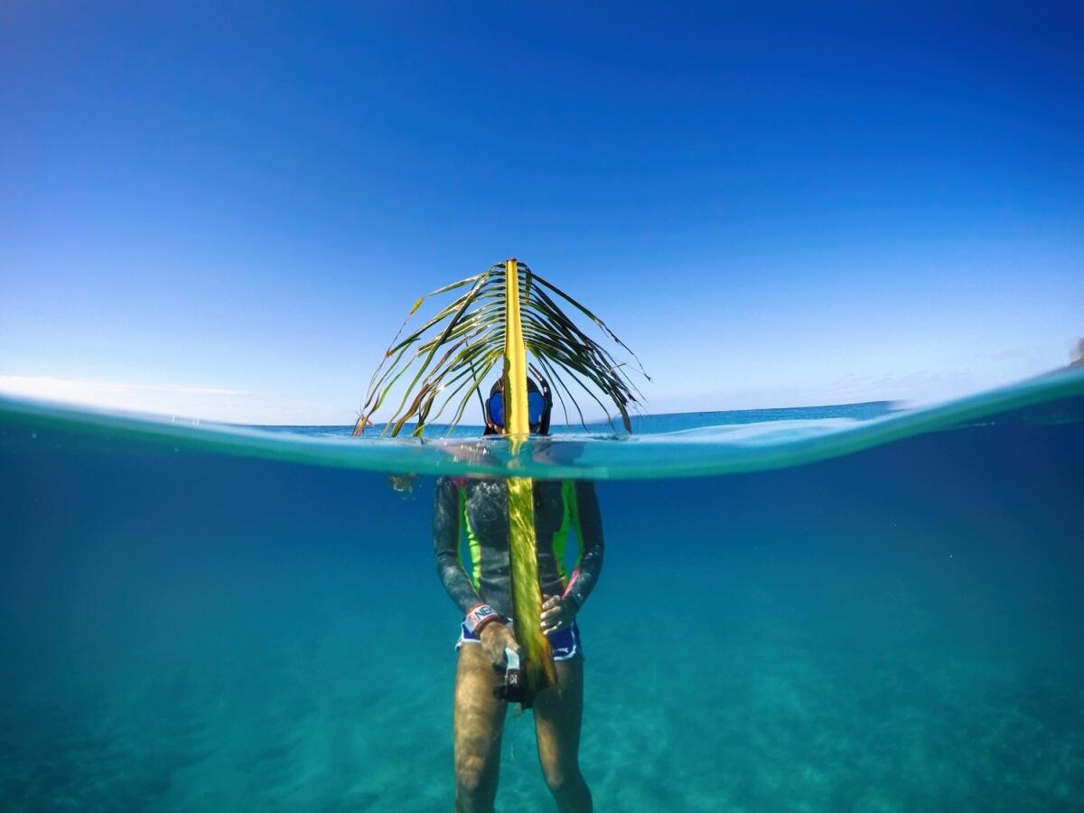 Dome Lens Port: Miglior accessorio Estate 2017 per Action Cam - 