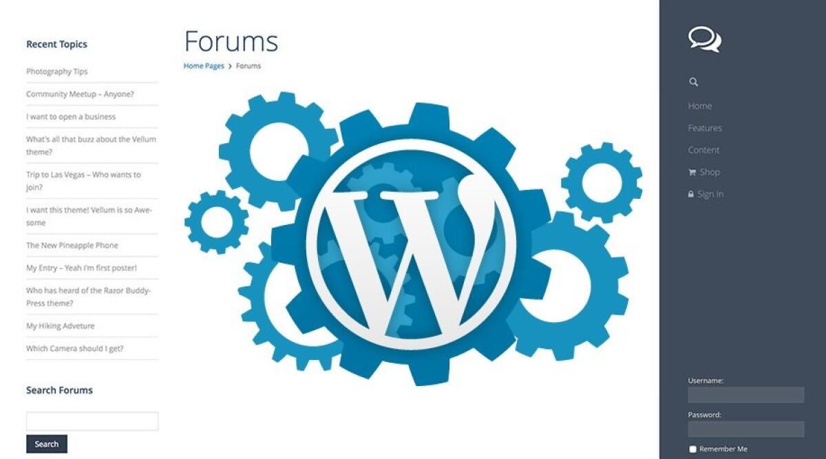 Come creare un forum su Wordpress - 