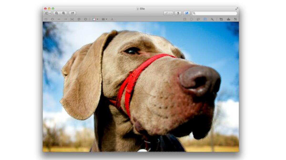 Programma di pittura facile per Windows e MAC - 