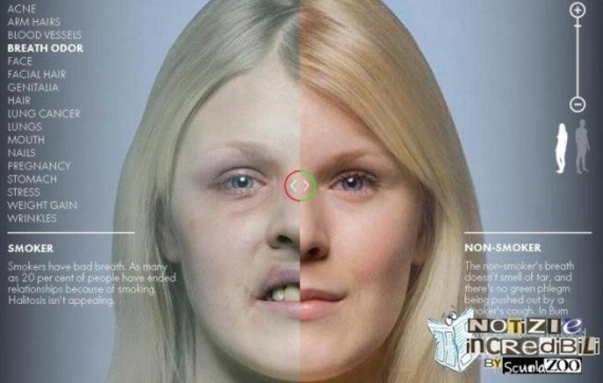 Creare Animazione 3D in tempo reale - 