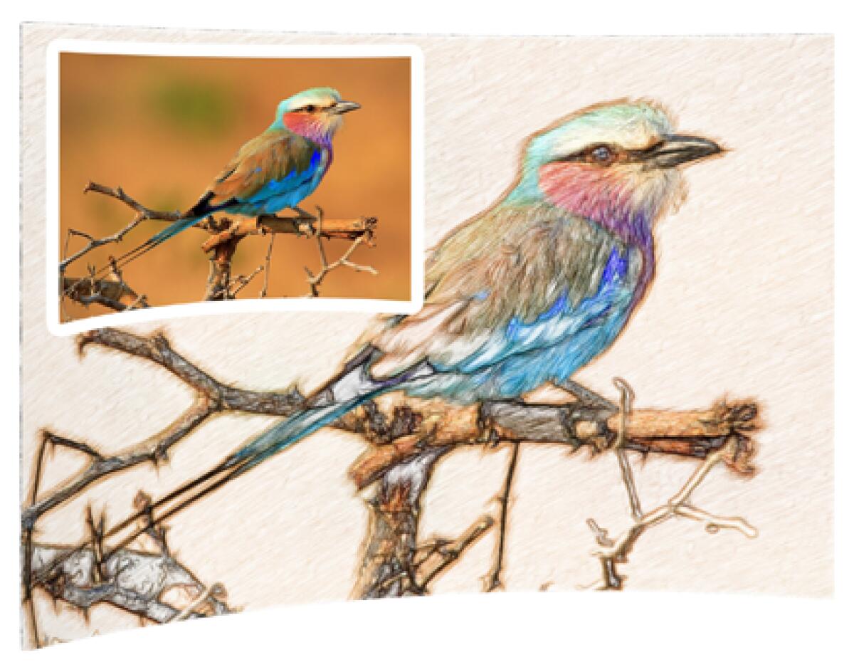 Trasforma foto ed immagini in Disegni a matita - 