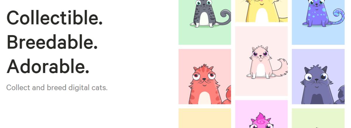 Diventare Ricchi con Gattini e Criptovalute: Il gioco del momento - 