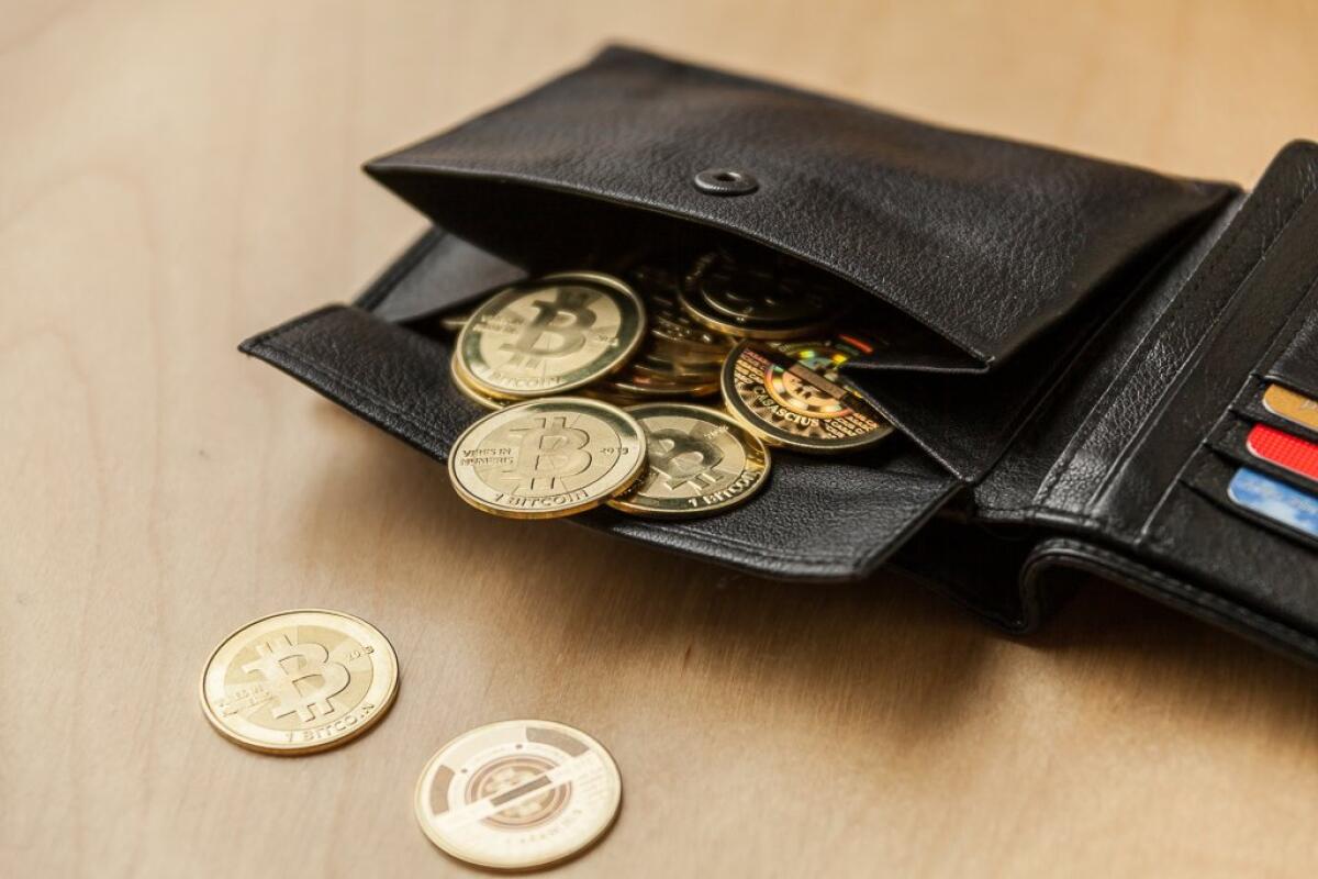 Come scegliere il tuo portafoglio di Bitcoin - 