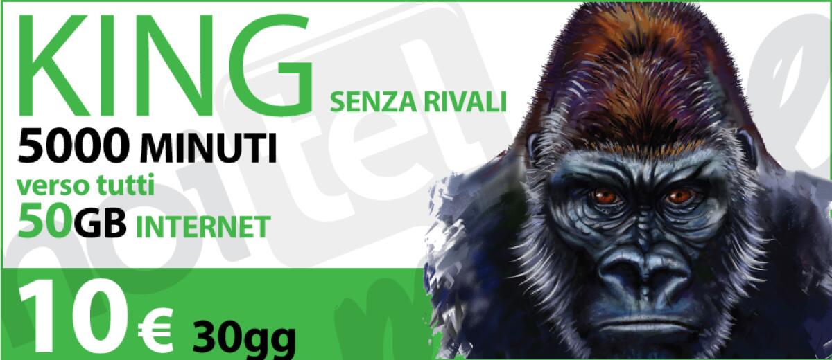 Rimodulazione NoiTel King: Si Passa Da 10 A 19 Euro Al Mese - 