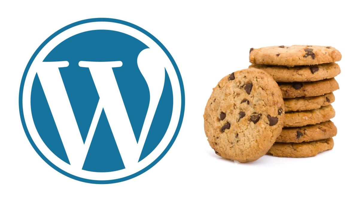 Adeguare un Sito Wordpress alla Normativa sui Cookie - 