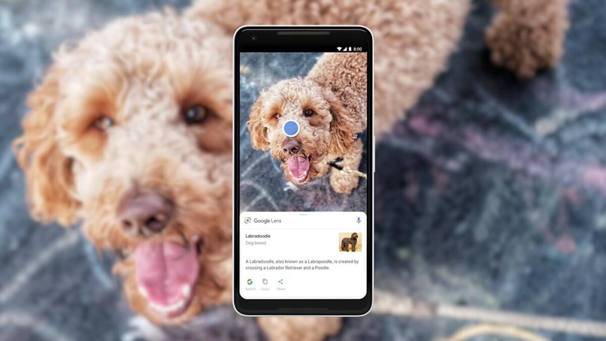 Google Lens Arriva In Italia: Cosa E', Come Funziona, Come Si Usa - 