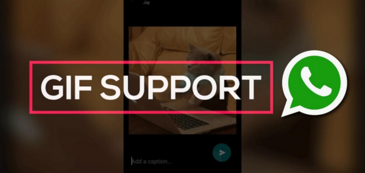 Dove trovare e scaricare le più belle GIF per WhatsApp - 