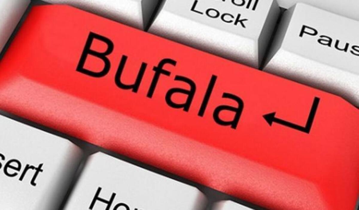 Ecco dove trovare le Bufale: I Migliori Siti Web - 