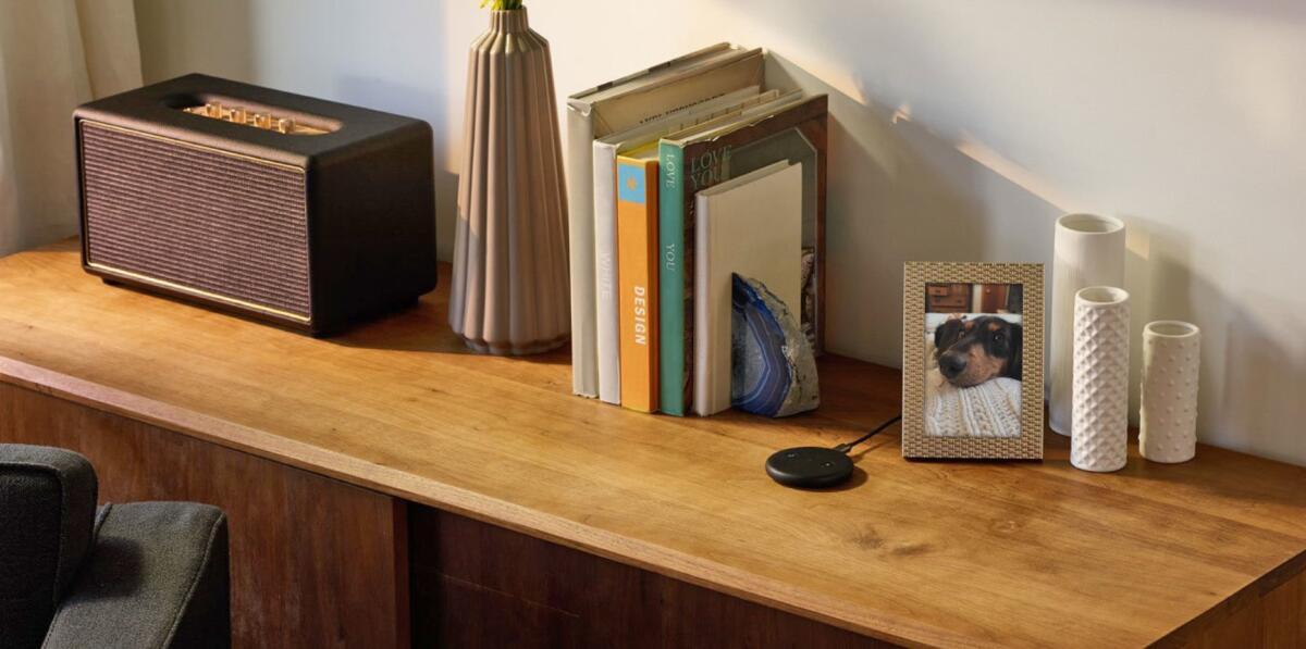 Amazon Echo Input: Economico e piccolo accessorio per portare Alexa su tutti gli speaker Bluetooth o con solo Jack - 