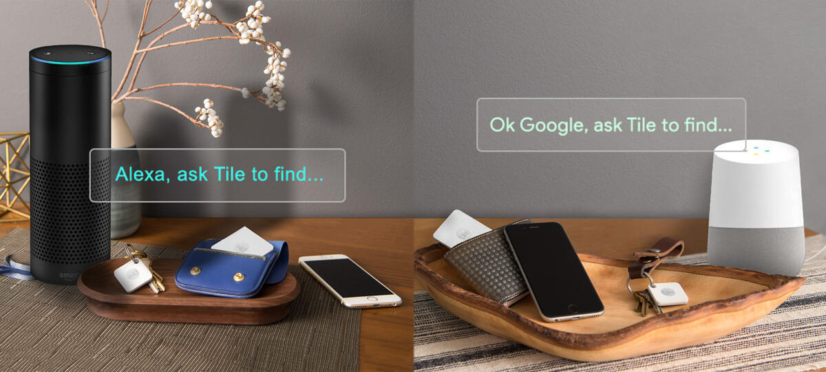 E' possibile usare Google Assistant su Amazon Echo? - 