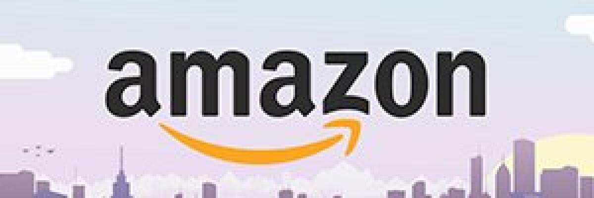 Venduti E Spediti Da Amazon: Cosa Significa? Come Trovarli? - 