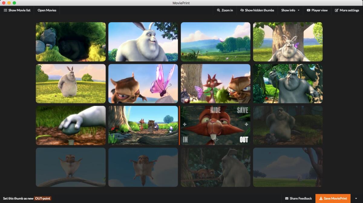 MoviePrint: Programma per creare Riepiloghi di Video Miniature - 