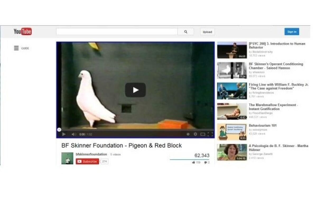 Bloccare riproduzione automatica video con Chrome: GUIDA FACILE - 