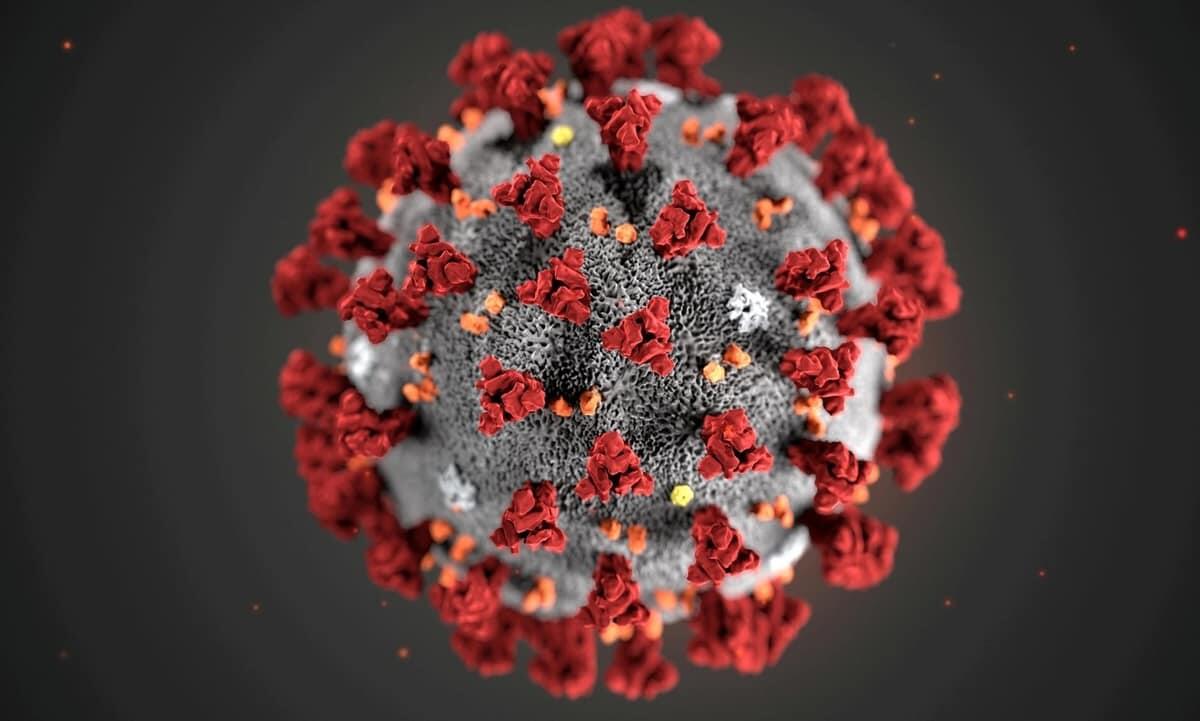 Coronavirus: SCARICA il nuovo modulo autocertificazione in PDF | Fase 2 - 