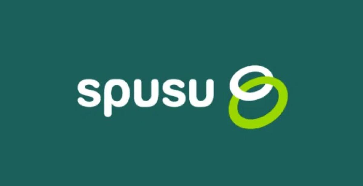 APN Spusu: come configurarli su Android e iPhone - 