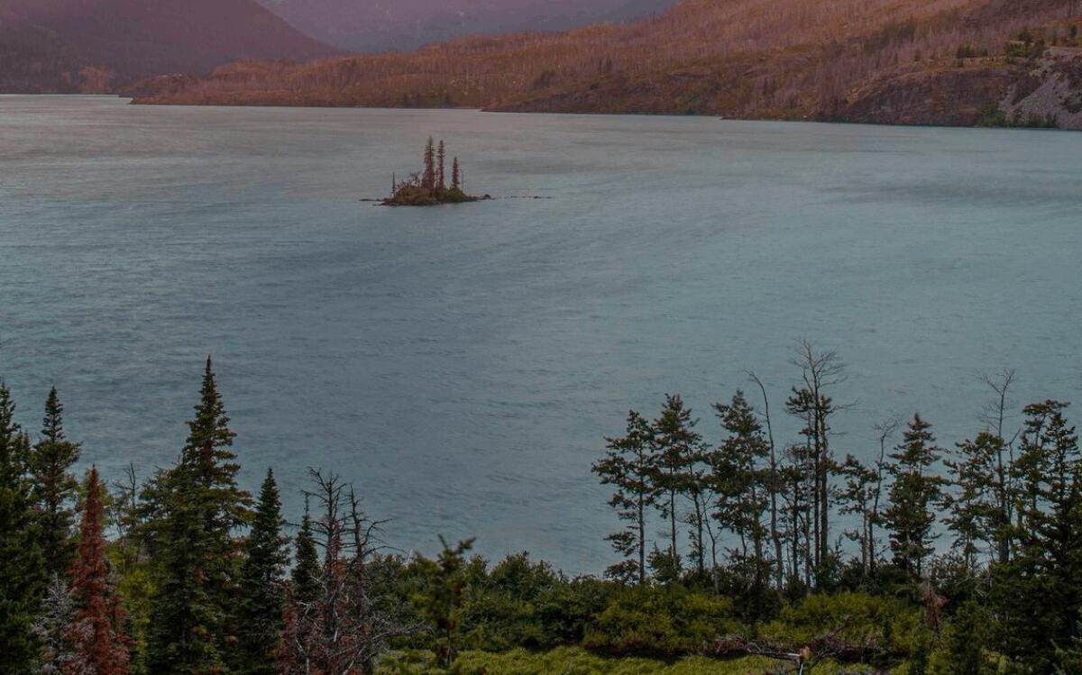 Lo sfondo che blocca i telefoni Android | INCREDIBILE - 