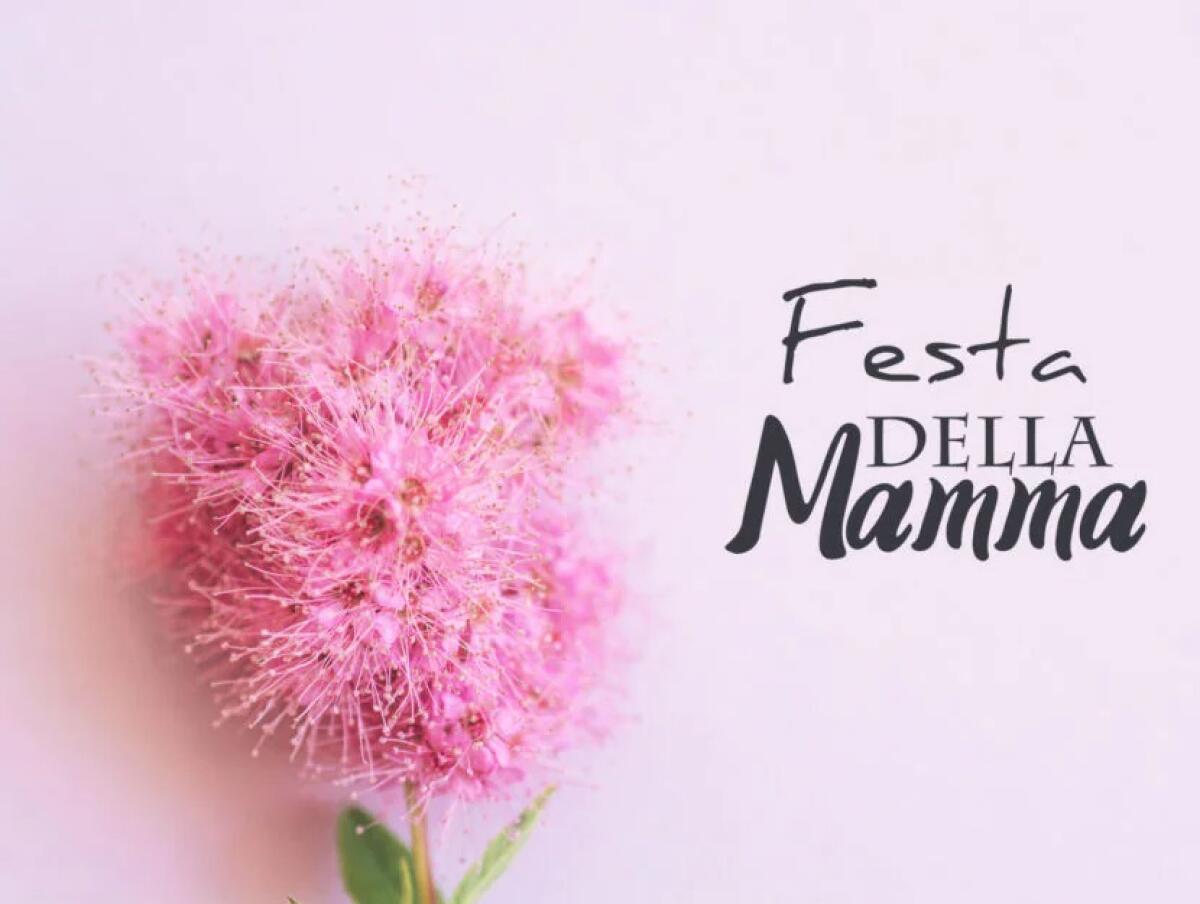 Offerte Festa della Mamma su Amazon: scopri le MIGLIORI - 