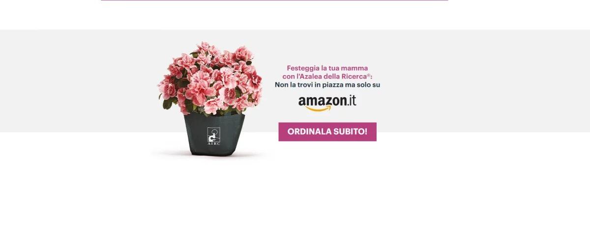 Festa della Mamma: l'azalea AIRC 2022 si compra su Amazon - 