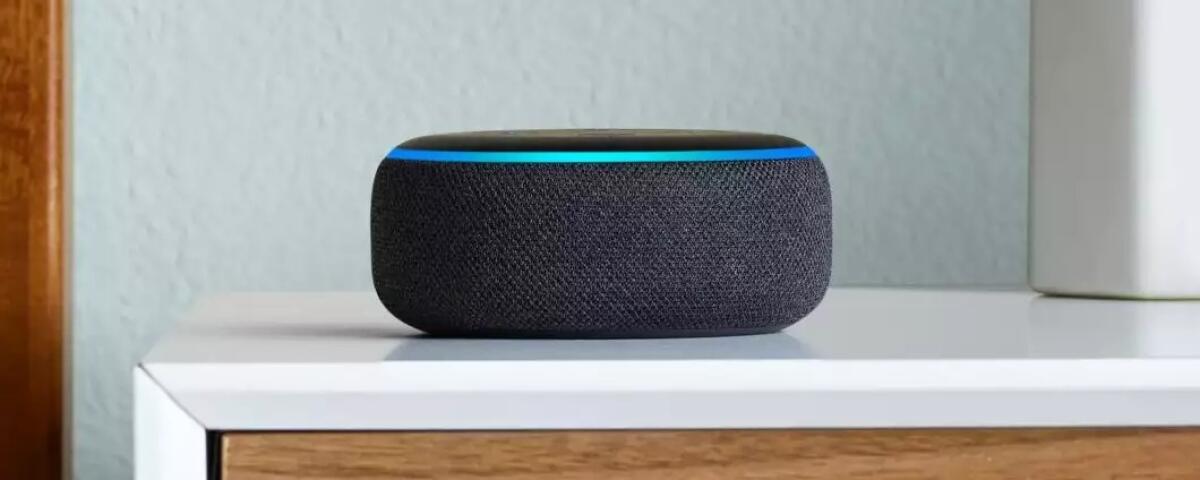 Cambiare voce ad Alexa e mettere quella da UOMO - 