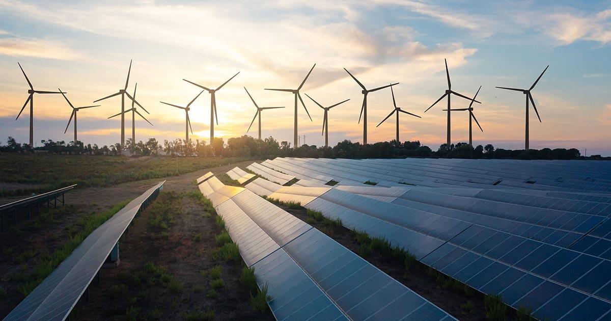 Aziende green: l'importanza della digitalizzazione nel percorso di decarbonizzazione - 