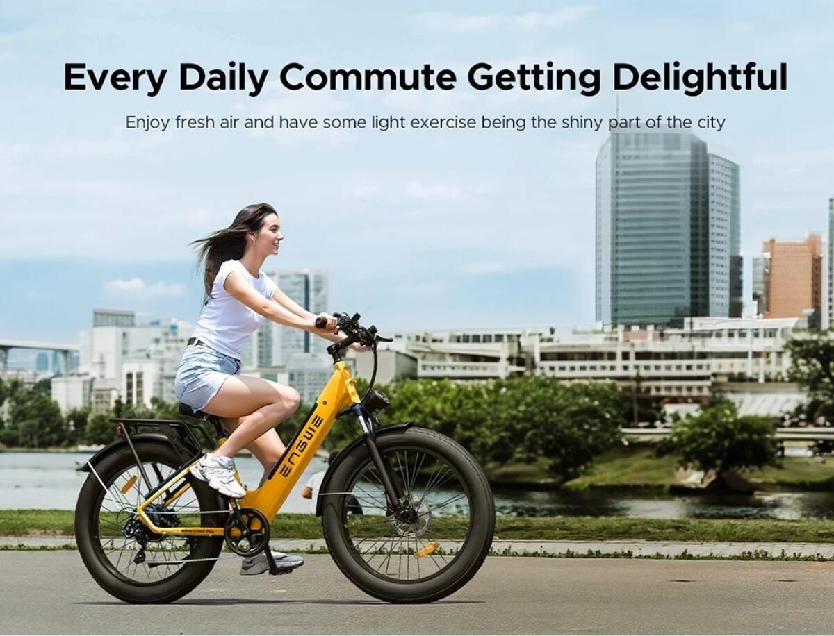 Bici Elettrica ENGWE E26 in OFFERTA a 1299 euro, spedizione inclusa da Europa - 