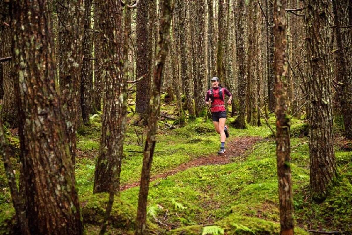 Importante aggiornamento per smartwatch e ciclocomputer Garmin - 