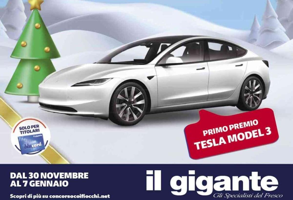 Concorso Il Gigante: vinci Tesla Model 3 e oltre 65.000 premi | Come Partecipare - 