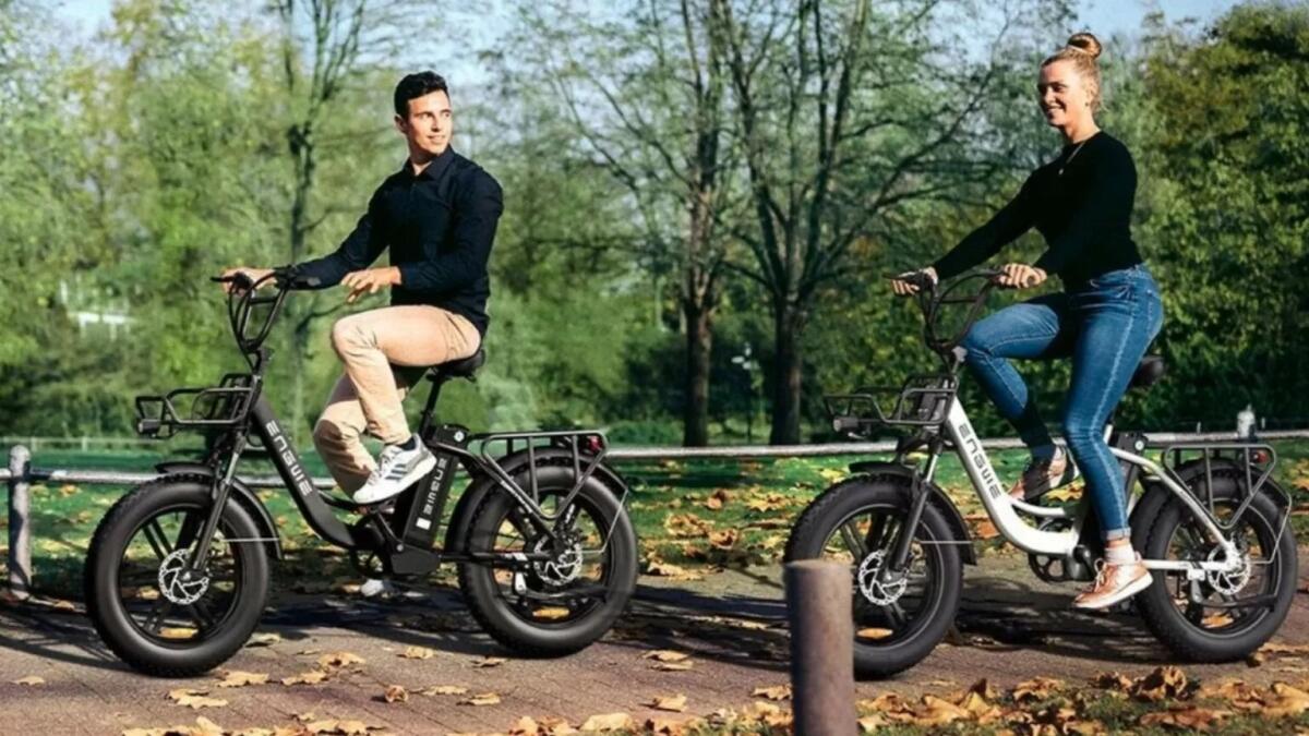 Bici Elettrica ENGWE L20 in OFFERTA a 999 euro, spedizione inclusa da Europa - 