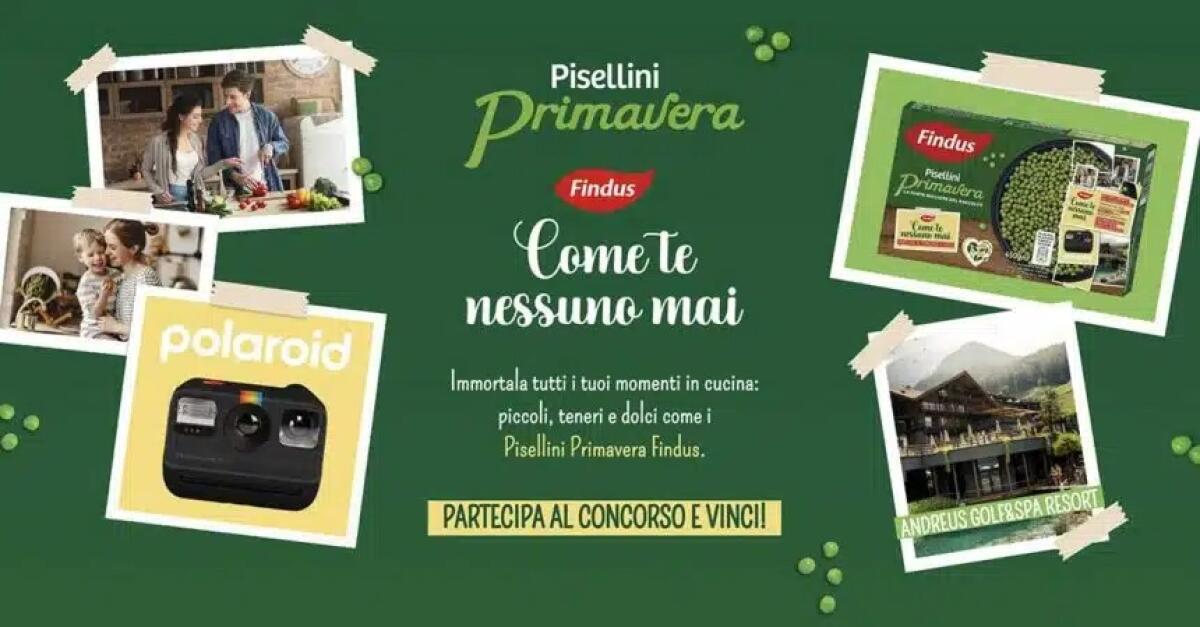 Concorso Findus: vinci Polaroid Go e weekend | Come Partecipare - 