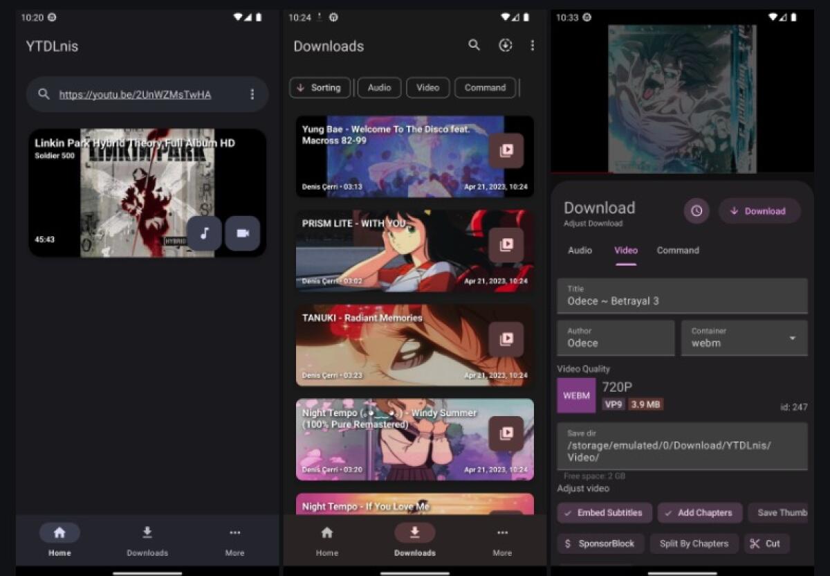 YTDLnis programma per scaricare da YouTube su Android - 