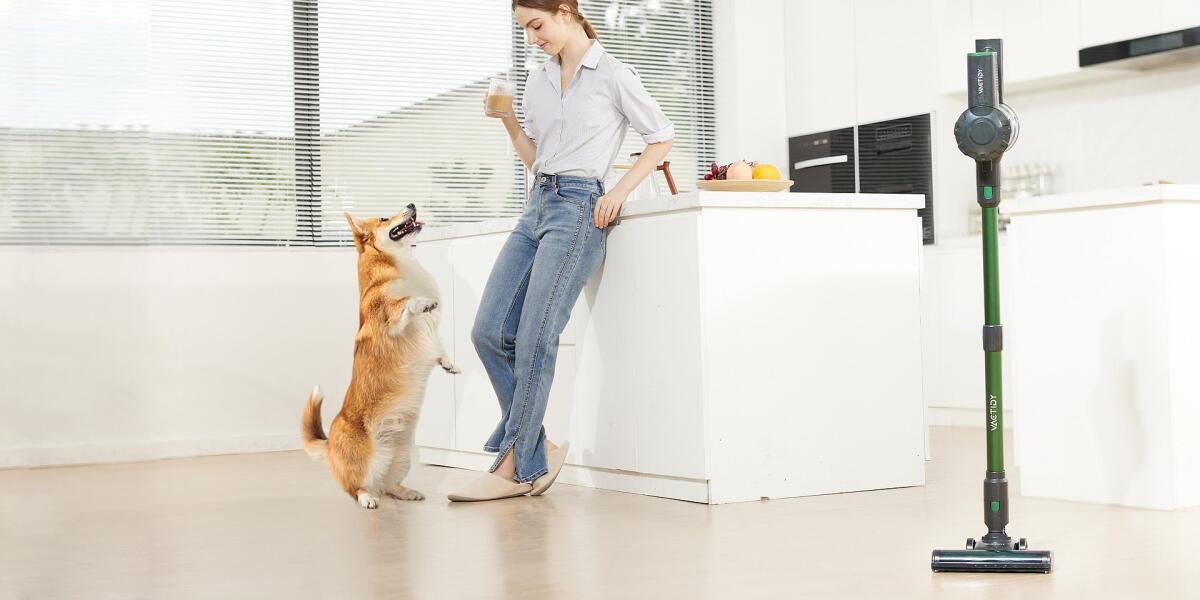 Vactidy presenta il nuovo aspirapolvere Blitz V9 Pro - 