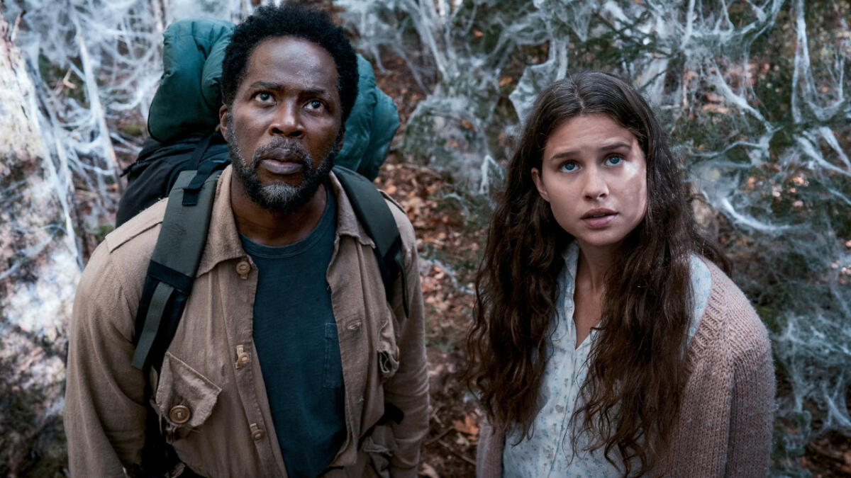 From Streaming Dove Vederlo GRATIS - 