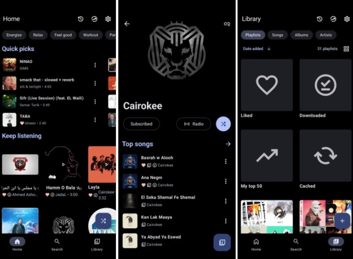 Metrolist ti permette di avere YouTube Music GRATIS su Android - 