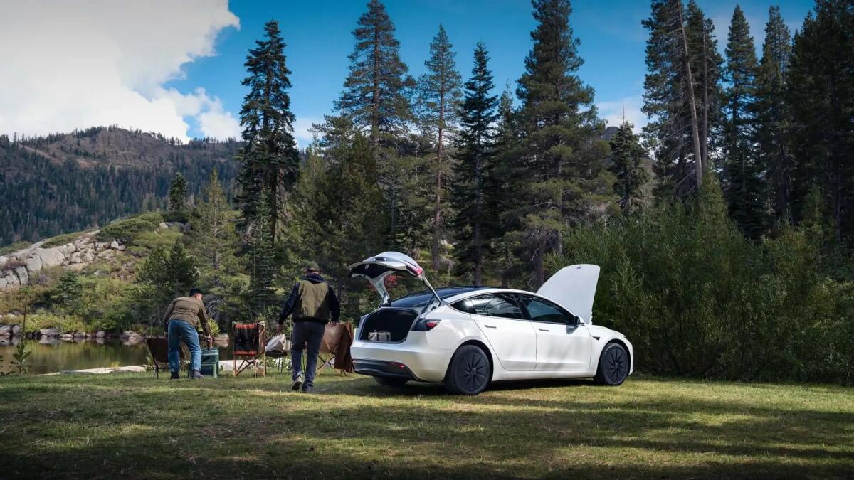 Arrivano le nuove Tesla Model Y e Model 3 Standard: quanto costano e cosa cambia - 