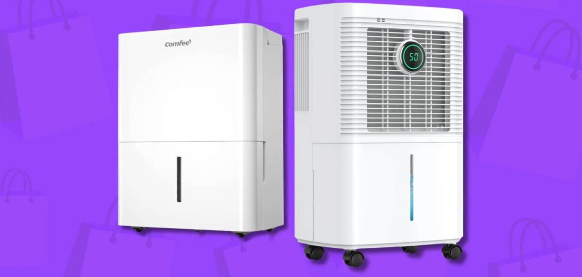 Migliori Deumidificatori da comprare per il Black Friday 2025 - 