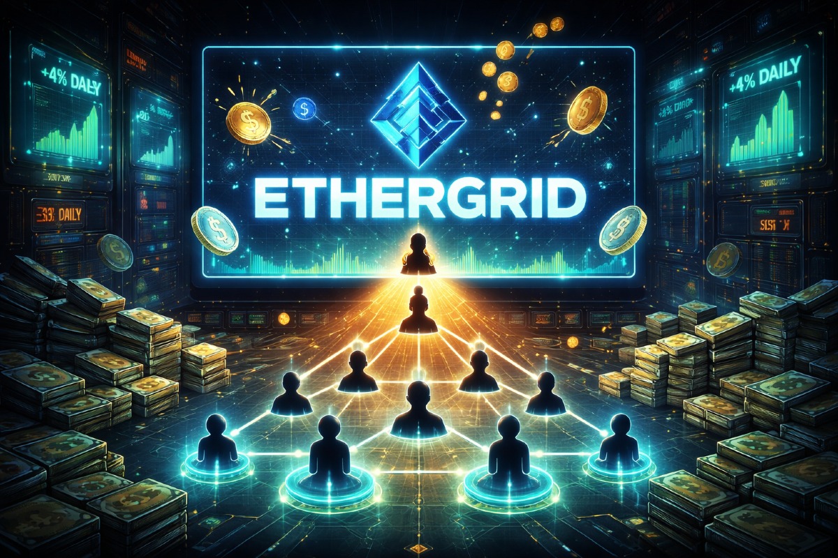 EtherGrid: Truffa o Investimento? Leggi prima di versare soldi - 