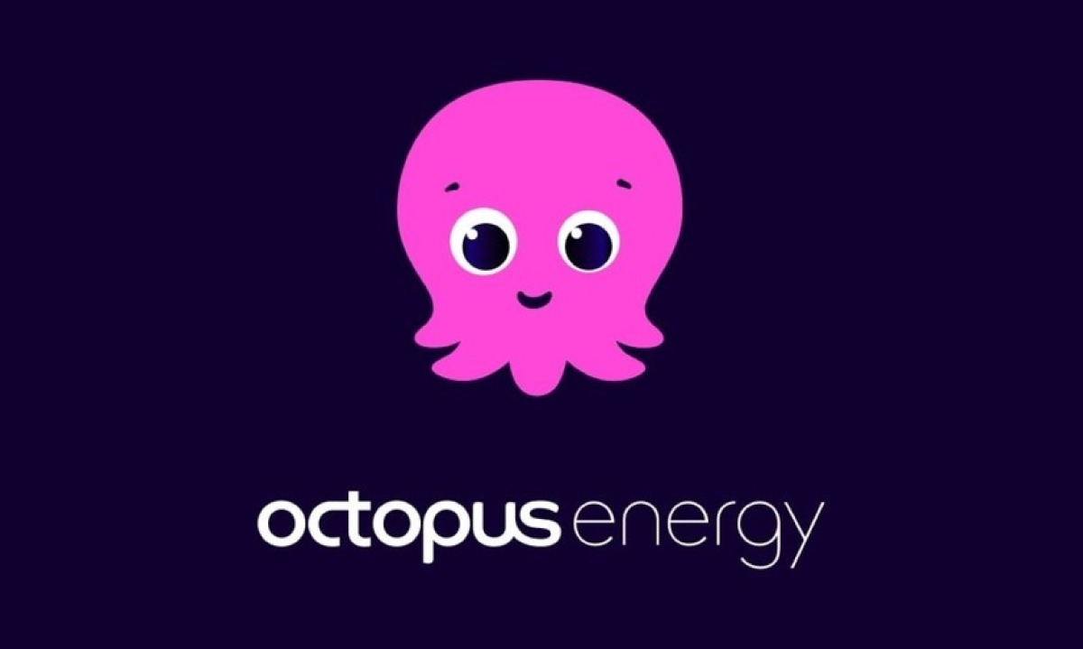 Bollette luce, Octopus assorbe 1 milione di euro per evitare rincari - 