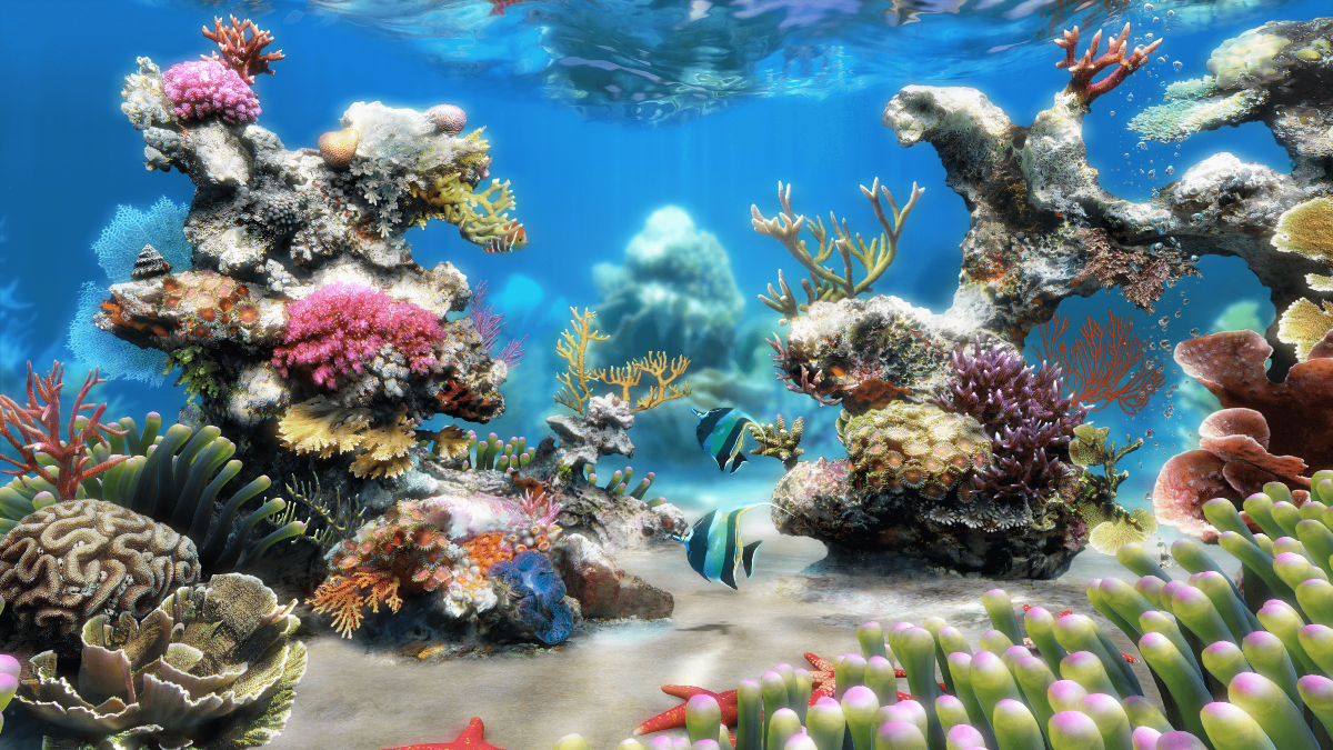 Come avere gratis Live Aquarium 4K per PC: 65.000 licenze - 