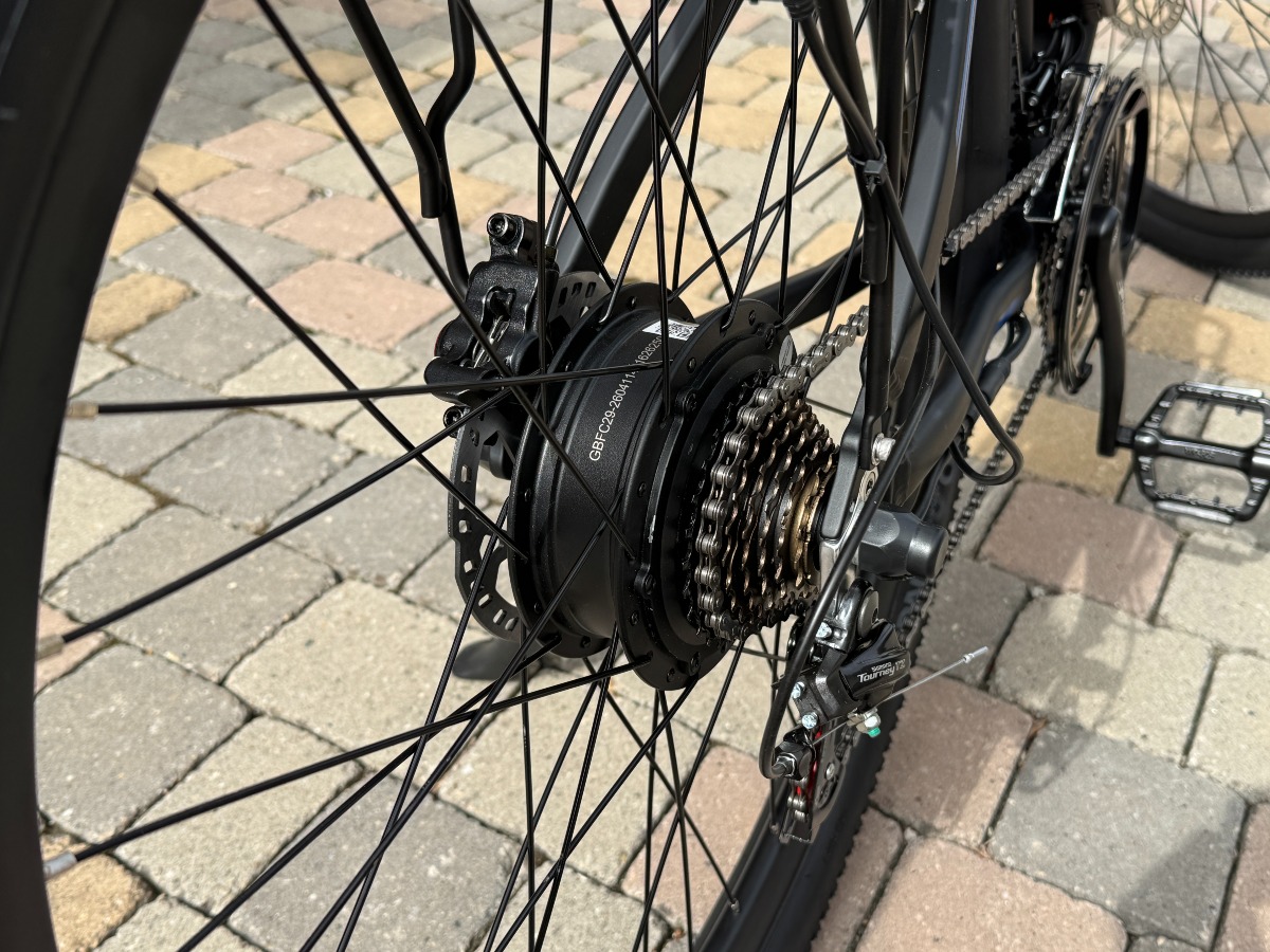 Recensione DUOTTS C29L Bicicletta Elettrica