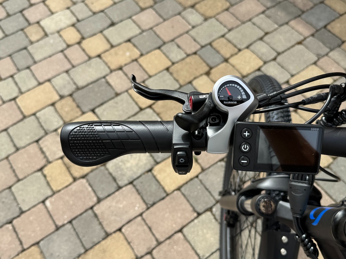Recensione DUOTTS C29L Bicicletta Elettrica