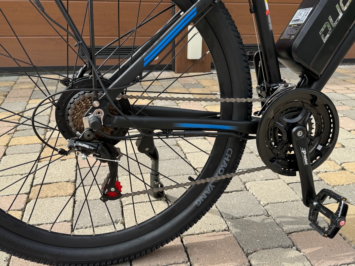 Recensione DUOTTS C29L Bicicletta Elettrica